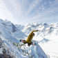 Mark McMorris Infinite Air Xbox One Game